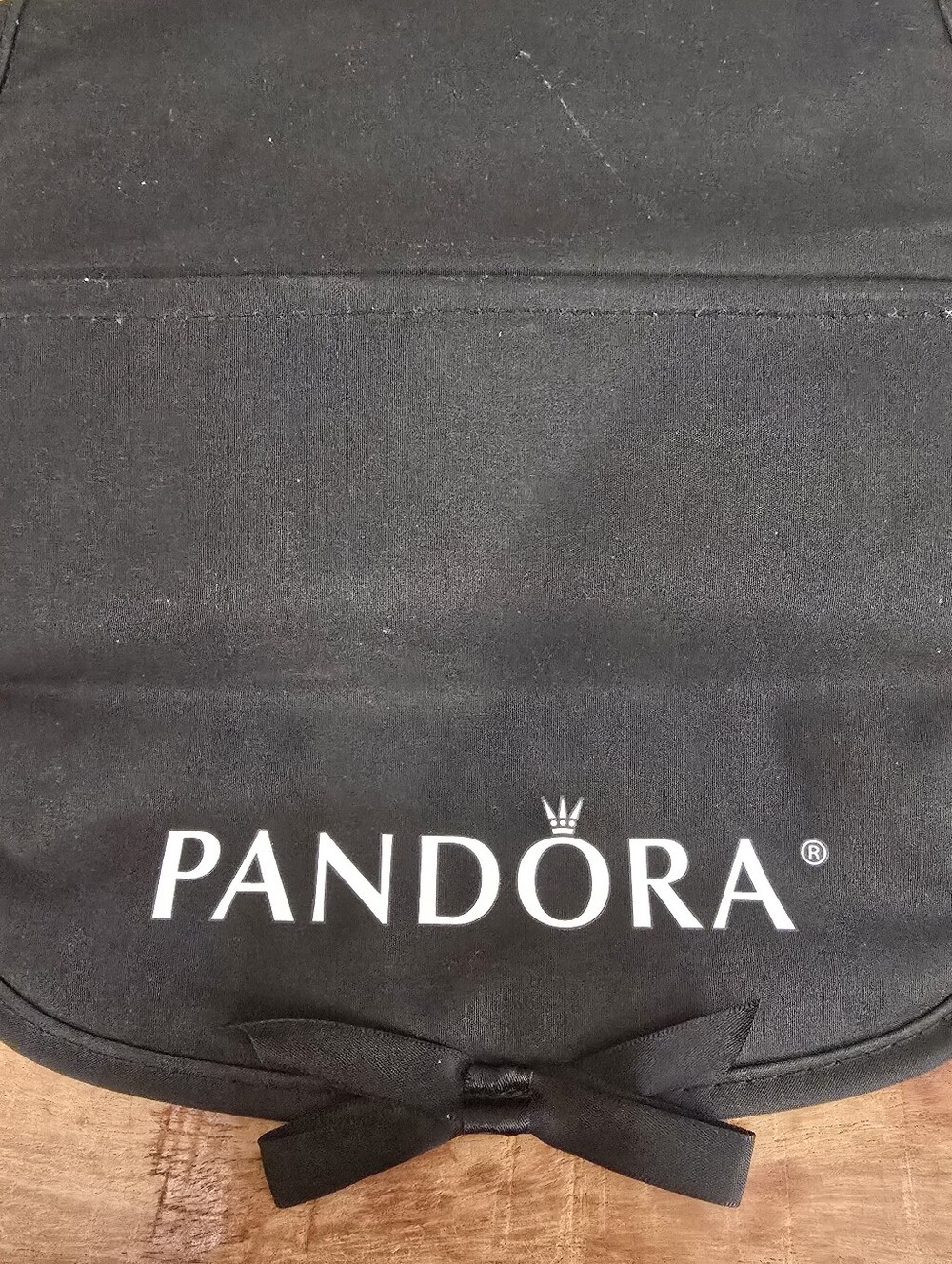Pandora Jewelry Travrl Case